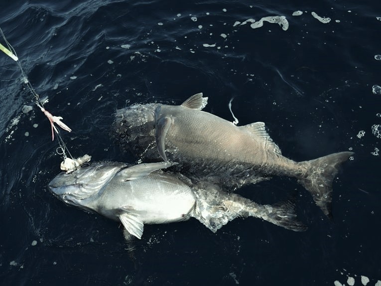 used electric fishing reels for sale